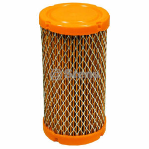 Air Filter Briggs & Stratton 793569