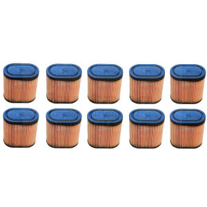 Set of 10 - 100-812 Air Filter Tecumseh 36905 LEV100, LEV115, LEV120, LV195EA, OVRM65