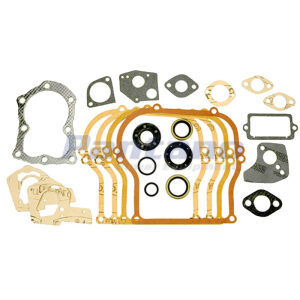 Gasket Set Briggs & Stratton 495603 397145 Fits 5 HP horizontal engines
