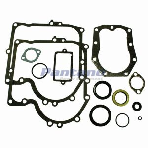 Gasket Set Replaces Briggs & Stratton 494241 490525