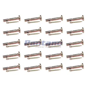 Set Of 20 Shear pin & Cotter pin MTD 738-04124A