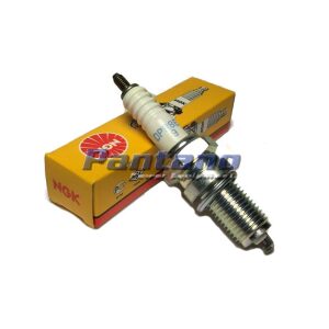 Spark Plug OEM NGK DPR8EA-9 Replaces Champion RA6HC