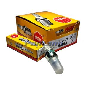 Pack of 10 NGK Spark Plug BM6A Replaces 92070-2051 AM54450