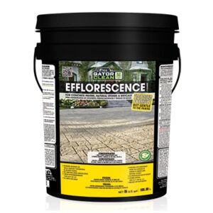 Alliance Gator Clean Efflorescence Cleaner 5 Gal for Pavers & Natural Stone