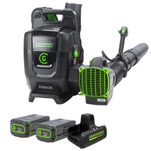 Greenworks 82VDual Port Backpack Blower w/ 2 5Ah Batteries and Dual Port Charger